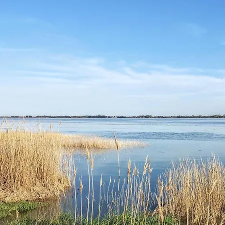 La Maison Du Dy Créances