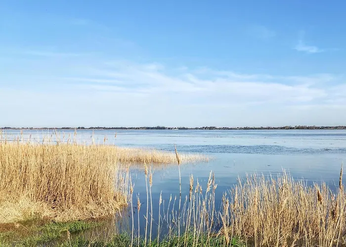 La Maison Du Dy Créances